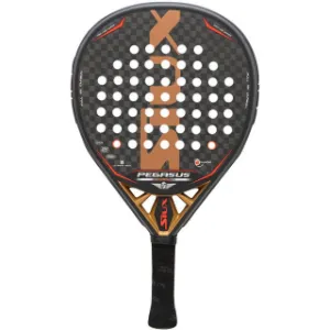 Siux Pegasus Revolution 12K